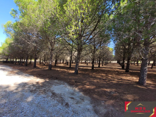 maisonvilla vente Le barcarès