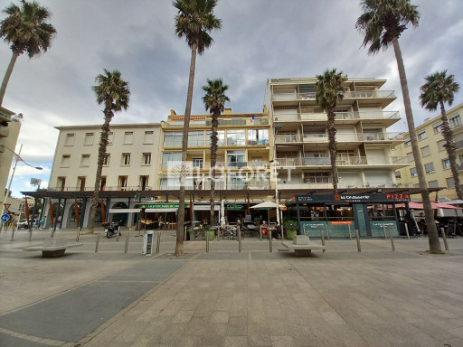 appartement à louer Canet-plage