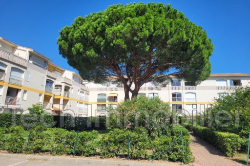 appartement vente Argelès-sur-mer