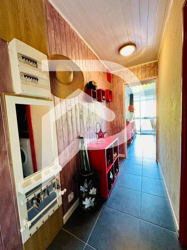 appartement vente Saint-cyprien