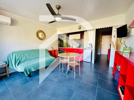 appartement vente Saint-cyprien