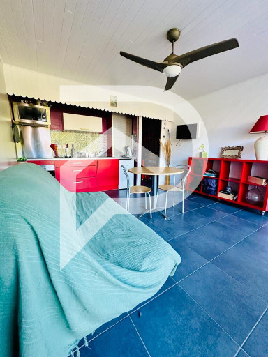 appartement vente Saint-cyprien