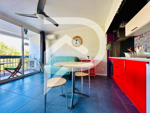 appartement vente Saint-cyprien