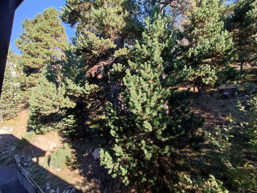 appartement vente Bolquère