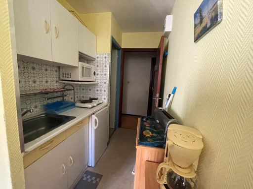 appartement vente Amélie-les-bains-palalda