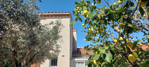 maisonvilla vente Argelès-sur-mer