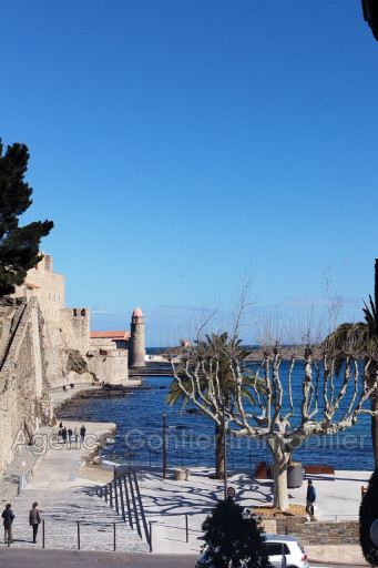 maisonvilla vente Collioure