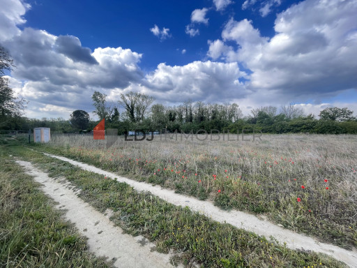 terrain vente Saint-jean-pla-de-corts