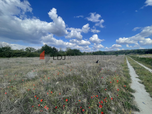 terrain vente Saint-jean-pla-de-corts