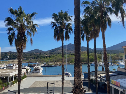 appartement vente Argelès-sur-mer