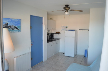 appartement vente St cyprien plage