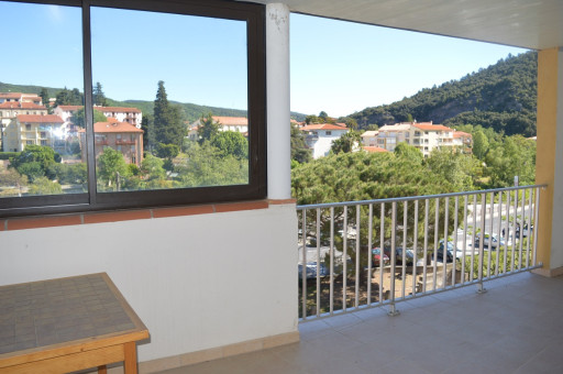 appartement vente Amélie-les-bains-palalda