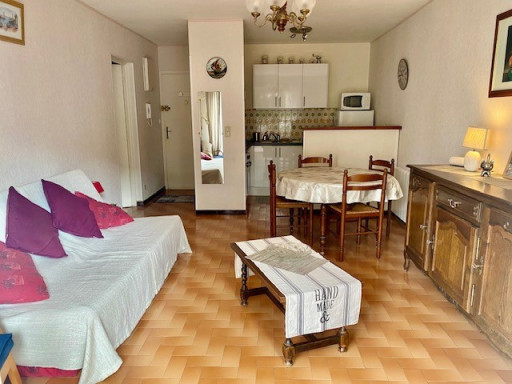 appartement location vacances Amélie-les-bains-palalda