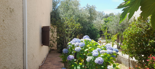 maisonvilla vente Argelès-sur-mer