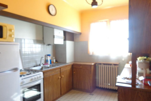appartement location vacances Amélie-les-bains-palalda