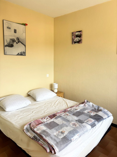 appartement location vacances Amélie-les-bains-palalda