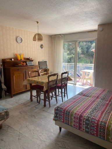 appartement location vacances Amélie-les-bains-palalda