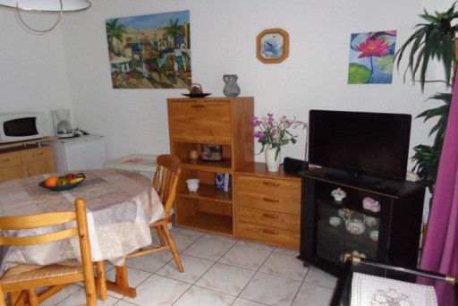 appartement location vacances Amélie-les-bains-palalda