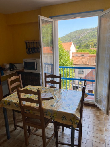 appartement location vacances Amélie-les-bains-palalda