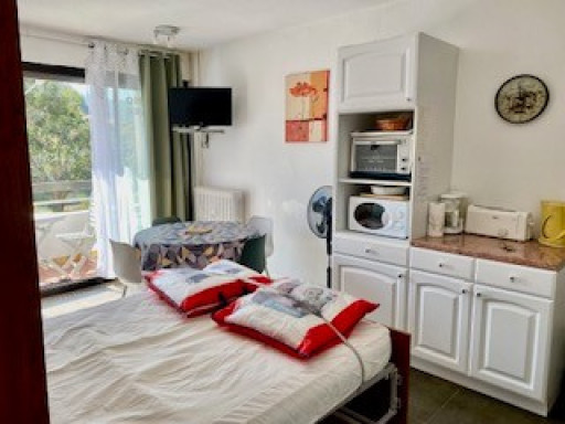 appartement location vacances Amélie-les-bains-palalda