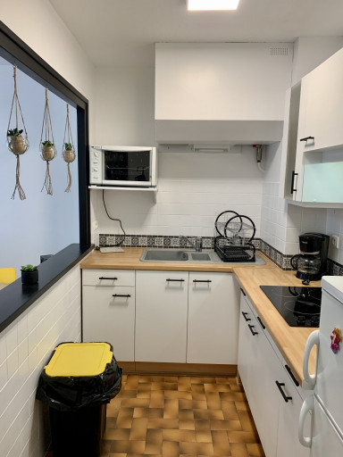 appartement location vacances Amélie-les-bains-palalda