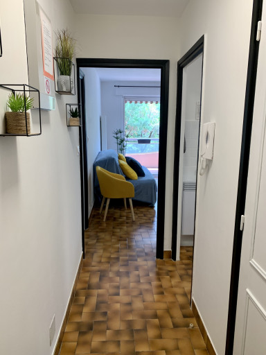 appartement location vacances Amélie-les-bains-palalda