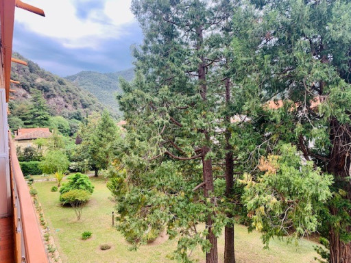appartement location vacances Amélie-les-bains-palalda