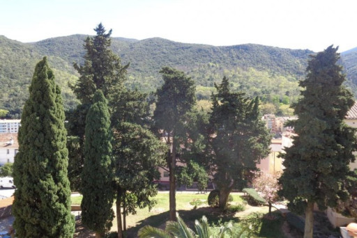 appartement location vacances Amélie-les-bains-palalda