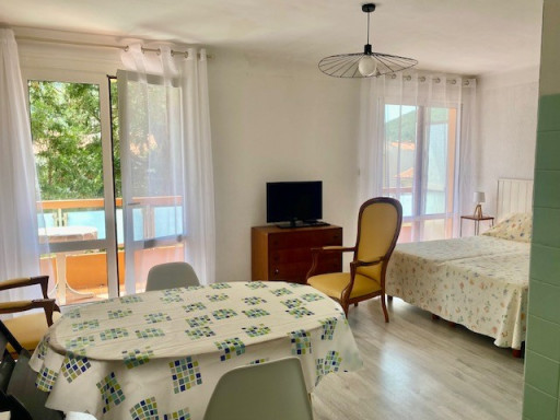 appartement location vacances Amélie-les-bains-palalda