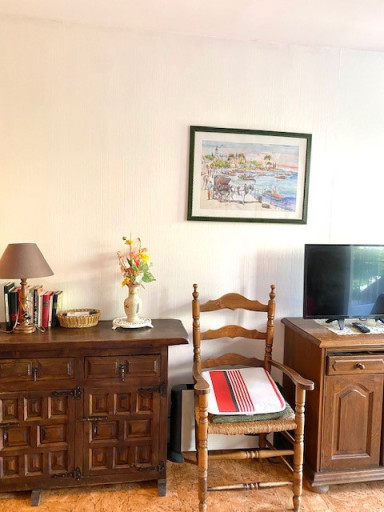 appartement location vacances Amélie-les-bains-palalda
