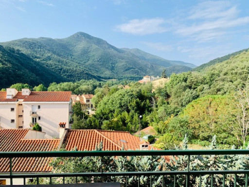 appartement location vacances Amélie-les-bains-palalda