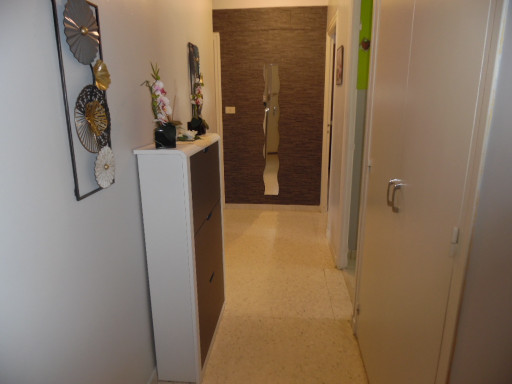 appartement location vacances Amélie-les-bains-palalda