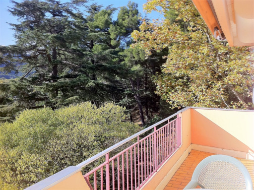 appartement location vacances Amélie-les-bains-palalda