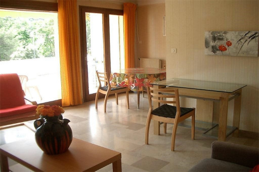 appartement location vacances Amélie-les-bains-palalda