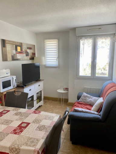 appartement location vacances Amélie-les-bains-palalda