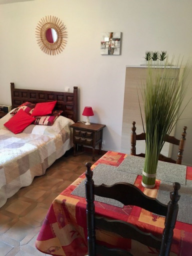 appartement location vacances Amélie-les-bains-palalda