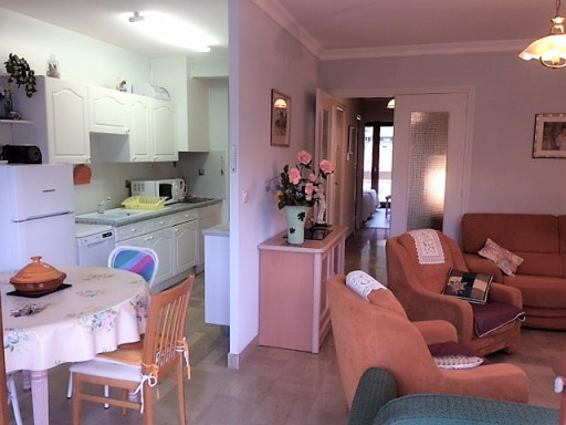 appartement location vacances Amélie-les-bains-palalda