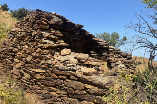 terrain vente Banyuls-sur-mer