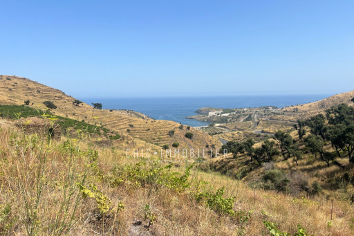 terrain vente Banyuls-sur-mer