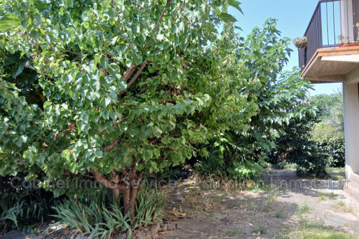 maisonvilla vente Céret