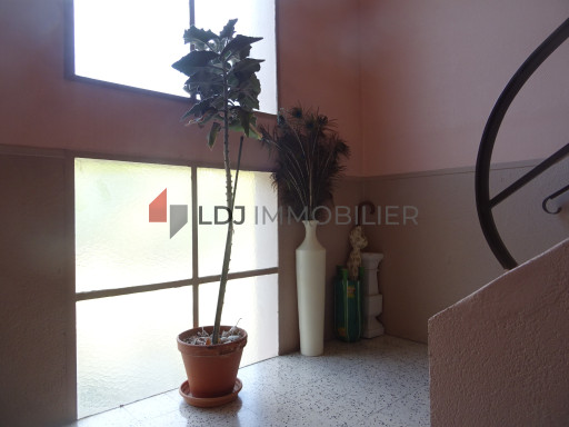 appartement vente Amélie-les-bains-palalda