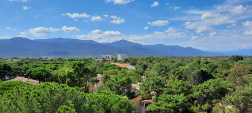 appartement vente Argelès-sur-mer