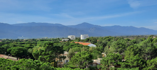 appartement vente Argelès-sur-mer