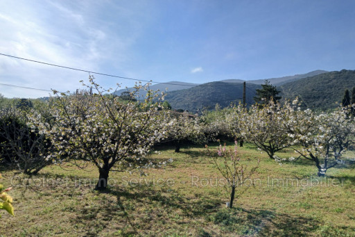 terrain vente Céret