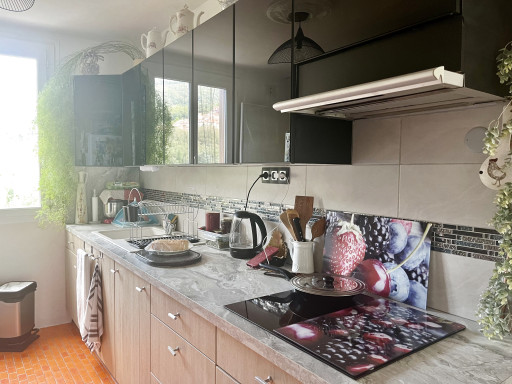 appartement vente Amélie-les-bains-palalda