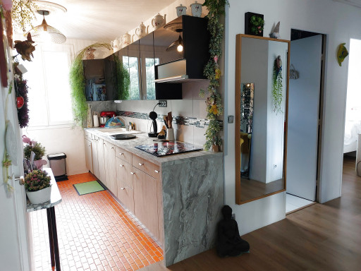 appartement vente Amélie-les-bains-palalda