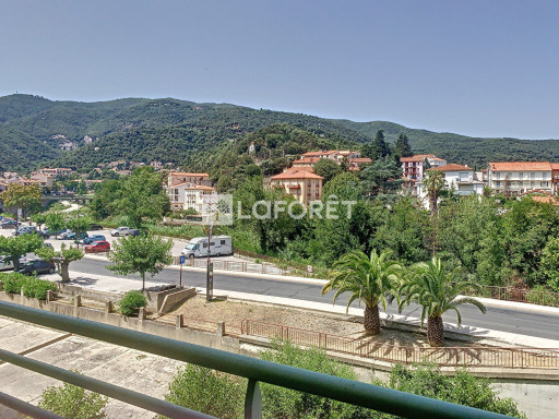 appartement vente Amélie-les-bains-palalda