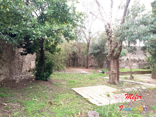 appartement vente Céret