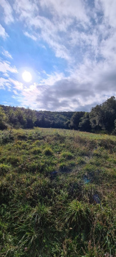 maisonvilla vente Arles-sur-tech