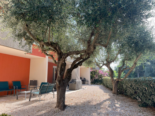 appartement à louer Amélie-les-bains-palalda